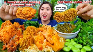 MAKAN NASI PADANG GULAI BABAT IKAN BAKAR AYAM KRIUK LALAPAN MENTAH LEUNCA PETE MENTAH KEMANGI TIMUN