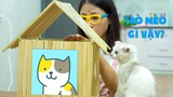 🏠  Làm Nhà Cho Mèo Thồn 😺