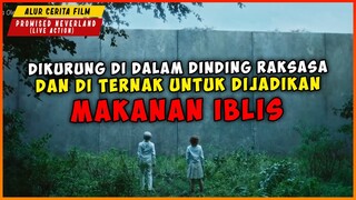 PANTI ASUHAN DIJADIKAN PETERNAKAN MANUSIA UNTUK MAKANAN IBLIS |  ALUR CERITA PROMISED NEVERLAND