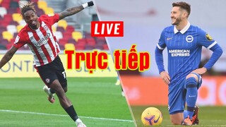 🔴 Trực tiếp Brighton vs Brentford | Vòng 19 Premier League