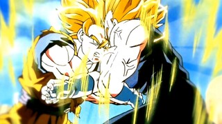 Goku dan Vegeta sudah saling kenal selama 29 tahun, bukan?