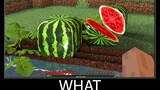 Minecraft รออะไร meme part 84 minecraft สมจริง Watermelon