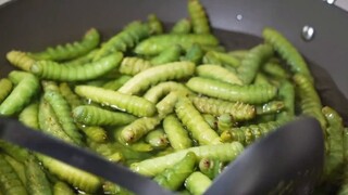 [Phim tài liệu] Chúng ta cùng nhau ăn côn trùng nhé!
