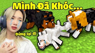 Mình Đã Khóc Thật Nhiều Khi Xem Video Này Ở Trong Minecraft Và Cái Kết Là...