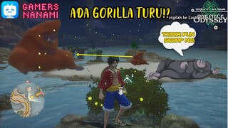 Gorila Penjaga Pantai Sedang Tidur!!??