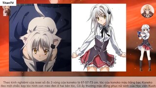 Top 8 Cô Vợ Trong Dàn Harem Của Issei Hyoudou _ Hight School DxD- 9