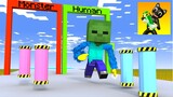 Monster School: Monster Lab Challenge - Baby Zombie became Huggy Wuggy | Minecraft Animation