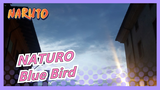 NATURO|Adaptasi "Blue Bird" - Versi Piano