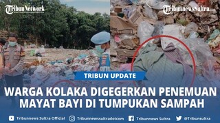 BREAKING NEWS Warga Kelurahan Induha Kolaka Digegerkan Penemuan Mayat Bayi di Tumpukan Sampah