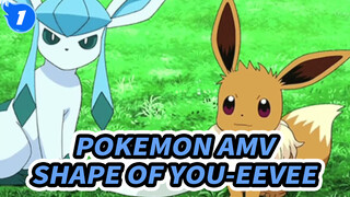 Eevee - Shape Of You | Pokemon AMV_1