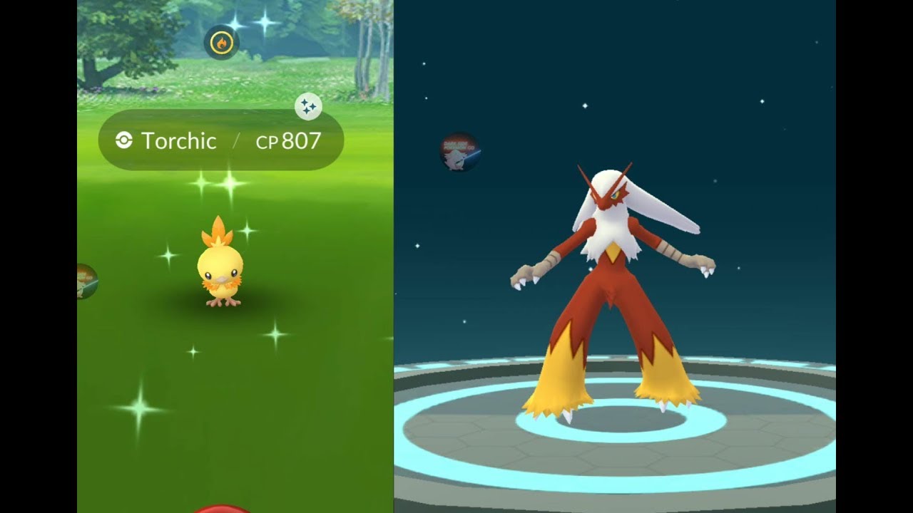 shiny torchic pokemon x