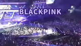 Giải trí|Cảnh buổi hòa nhạc của BLACKPINK.