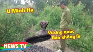 Vương quốc Rắn khổng lồ U Minh Hạ và những cuộc đụng độ khủng khiếp