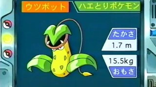 オーキド博士のポケモン講座(ウツボット)