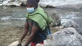 himalayan trout fishing in Nepal | cast netting in Nepal | asala fishing |