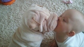 Funny and Cute Puppies & Babies Playing, Sleeping Together Compilation 2018