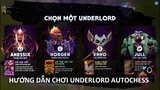 Hướng dẫn chơi game Underlord Dota