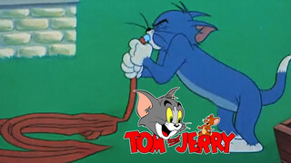 [Tẩy não] Tom & Jerry: Mang Chủng