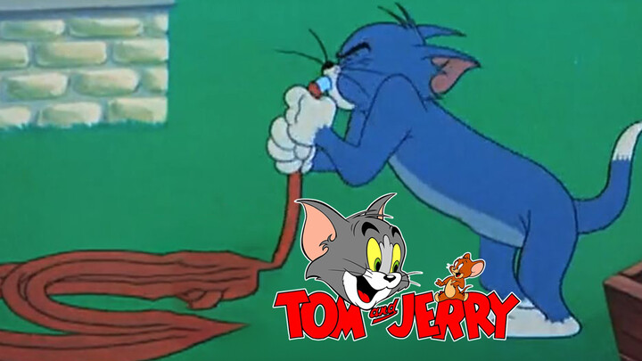 [Tẩy não] Tom & Jerry: Mang Chủng