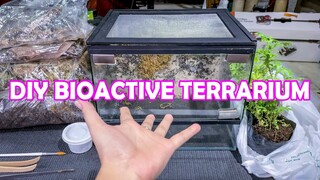 Setting up my Bioactive Terrarium using ReptileSky Products | Vlog#20