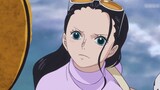 [ONE PIECE] Nico Robin's Affection For Pets
