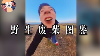 【野生人类图鉴】拜托，当个废柴超酷的好吗