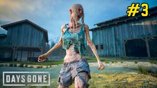 Zombies Everywhere - Days Gone Gameplay #3