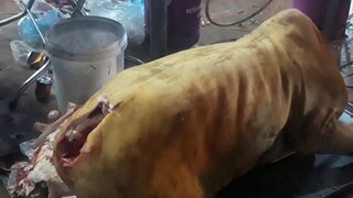 Đi chơi Hội chơ, quán phơ Nam Định, trưng bầy nguyên con that độc đao.