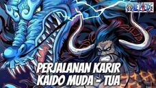 PERJALANAN KARIR KAIDO MUDA SAMPAI TUA HINGGA DIJULUKI MAHLUK TERKUAT DI DUNIA ONE PIECE