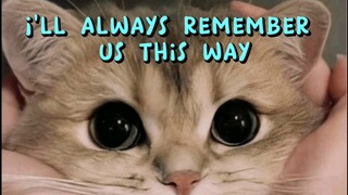 ALWAYS REMEMBER US THIS WAY (LYRICS)