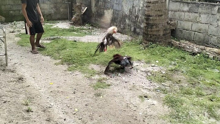 red kelso ( biboy Enriquez) vs kanawayon ( LGBA)