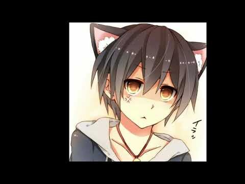 {{ASMR}}- Neko bravo com você  🐈