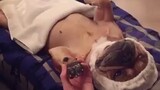 dog massage