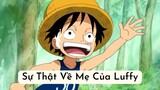 One Piece - Sự Thật Về Mẹ Của Luffy
