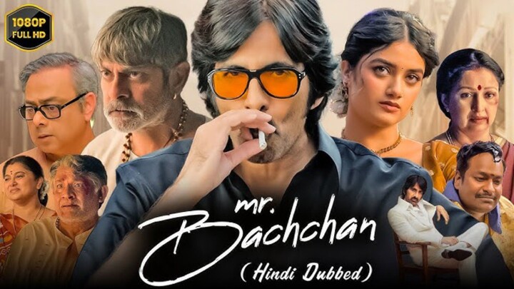 Mr. Bachchan (2024) (Hindi