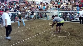 Mendez cockpit arena    4jc