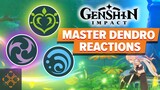 Genshin Impact: Dendro Reactions Guide