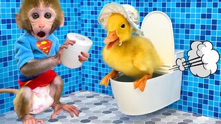 Monkey Baby Bon Bon takes the duckling to toilet and eats watermelon with the puppy so yummy