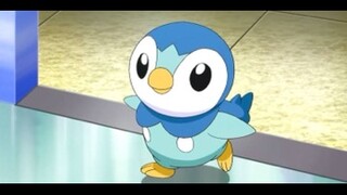 Piplup