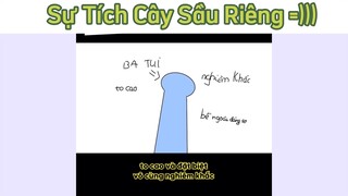 Cảnh báo nha #funny #haihuoc