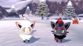 Zorua Hayes di Pokémon Sword and Shield