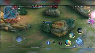 Zilong Lifestell