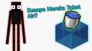 Kenapa Enderman Takut Air?