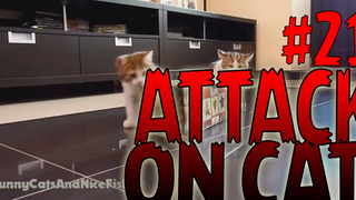 รวมพลแก๊งค์แมวฮ่า Attack on Cat ! 21 / ตอน บ้านก็อตจิมหาประลัย !!! พากย์นรก