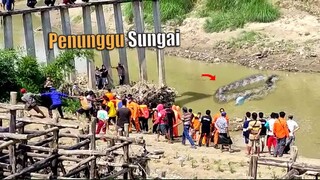 Ular Bertanduk Mirip Lembu hingga Buaya Putih, inilah Misteri Sungai Cisanggarung!