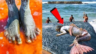 Catching Seafood 🦀 ASMR Relaxing (Catch Shark , Catch Fish ,Deep Sea Monster ) #573