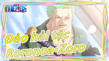 [Đảo hải tặc] [Roronoa·Zoro/Hoành tráng] Con đường của Zoro để trở thành kiếm sĩ mạnh nhất