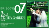 🇨🇳EP7 Love In The Tea Garden (2024)