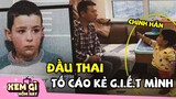 6 câu chuyện có thật chứng tỏ Đầu Thai là có thật, mà bạn không thể không tin - Xem Gì Hôm Nay