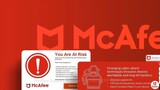 McAfee Support Contact Number 0191-308-2445 UK